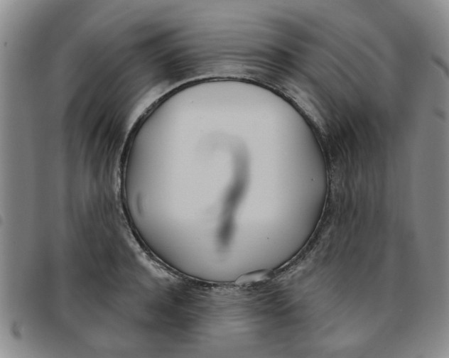 X0000097470944200803141910