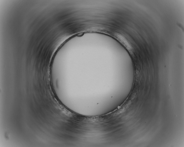 X0000097470948200803141910