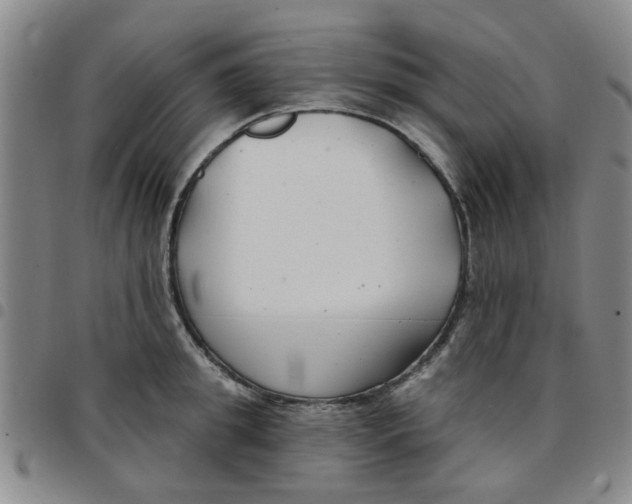 X0000097470949200803141910