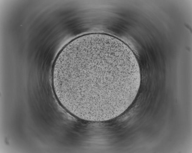 X0000097470950200803141910