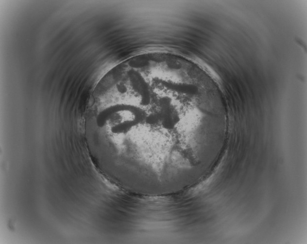 X0000097470953200803141910