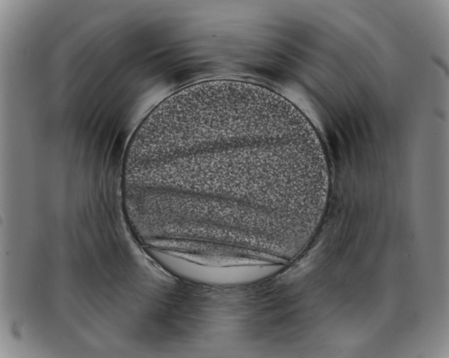 X0000097470954200803141910