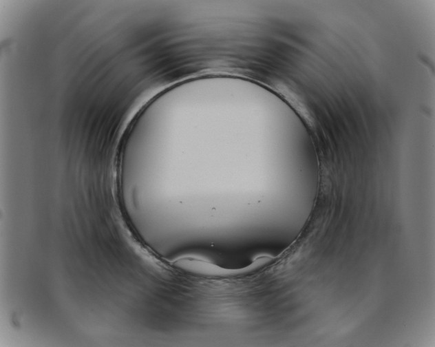 X0000097470955200803141910