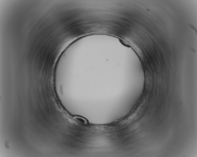X0000097470956200803141910