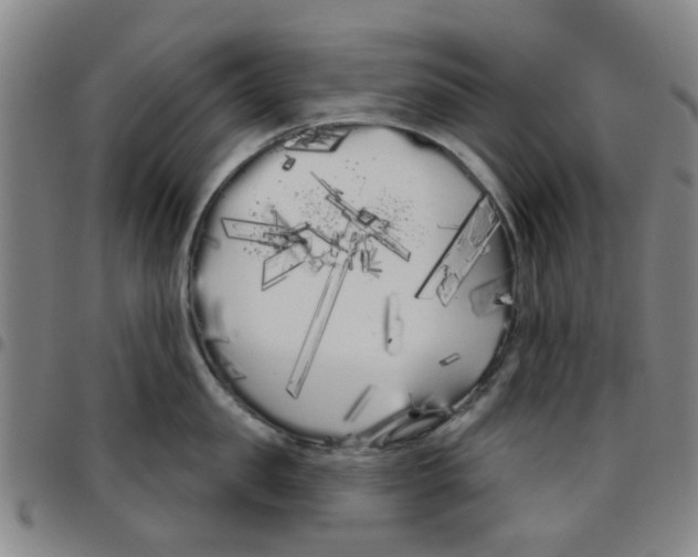 X0000097470957200803141910