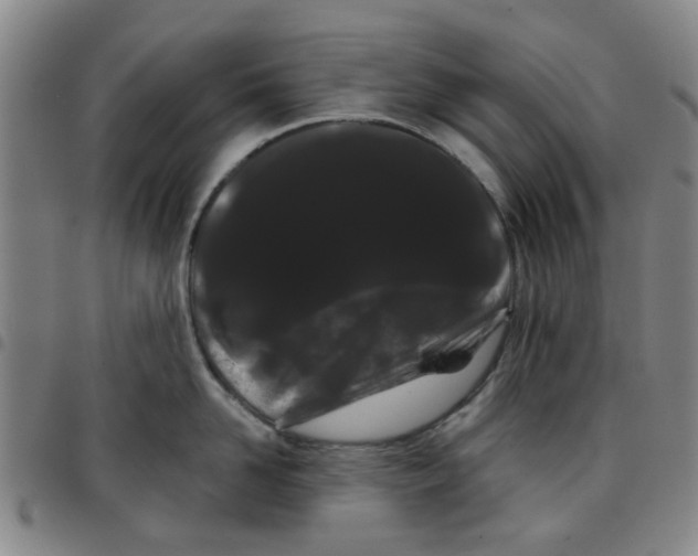 X0000097470958200803141910