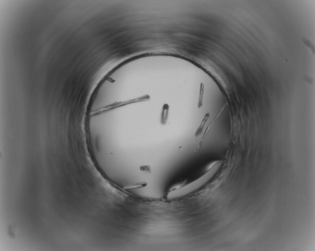 X0000097470959200803141910