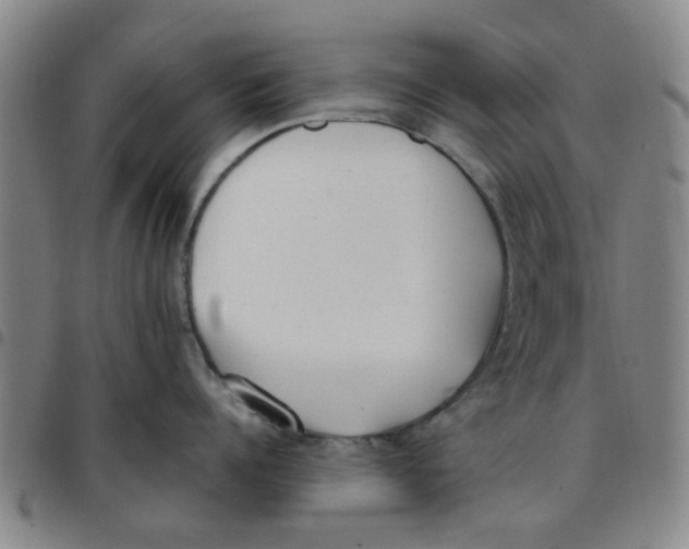 X0000097470960200803141910