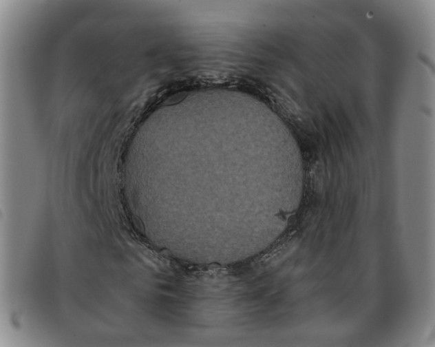 X0000097470961200803141909