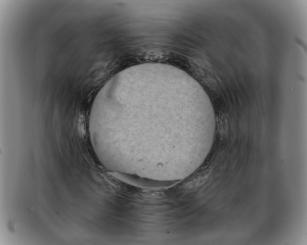 X0000097470962200803141909