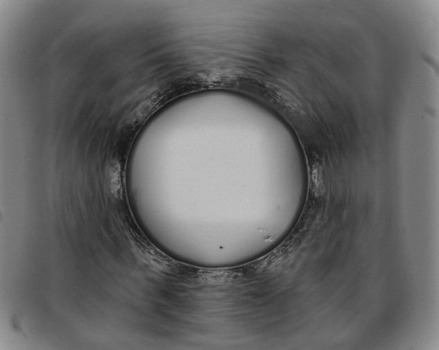 X0000097470963200803141909