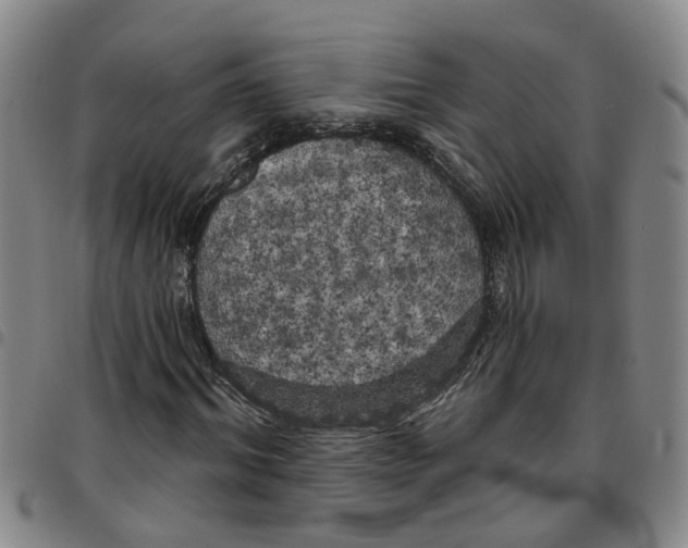 X0000097470964200803141909