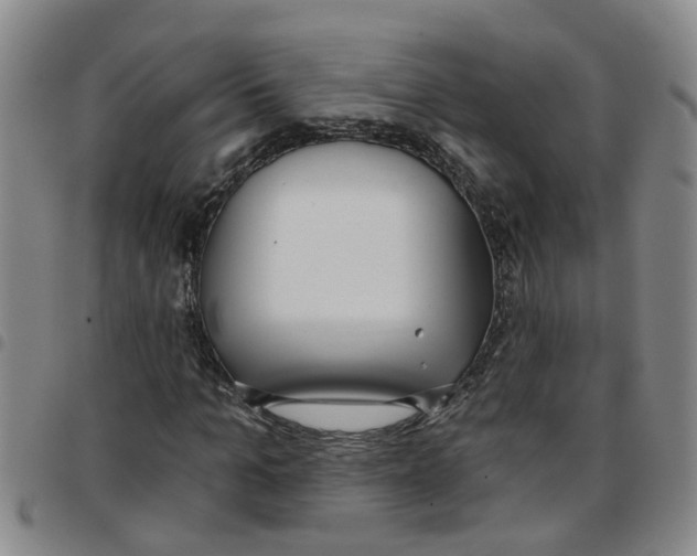 X0000097470965200803141909
