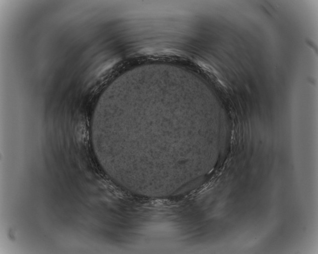 X0000097470966200803141909