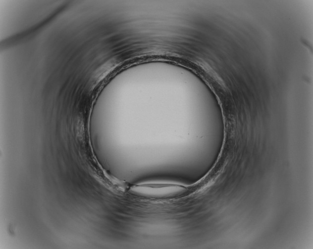 X0000097470969200803141909
