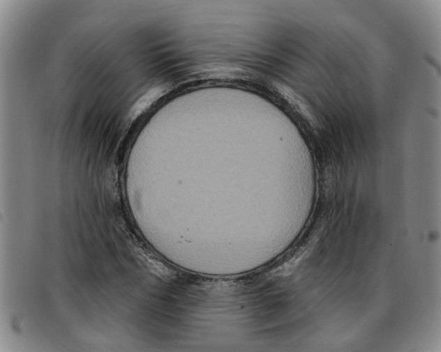 X0000097470970200803141909