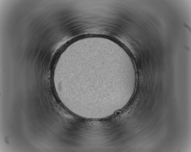X0000097470971200803141909