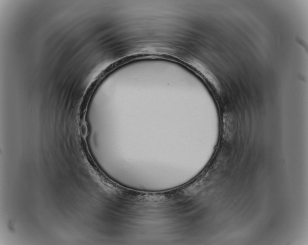 X0000097470972200803141909