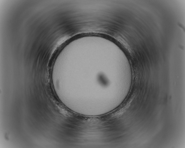 X0000097470974200803141909