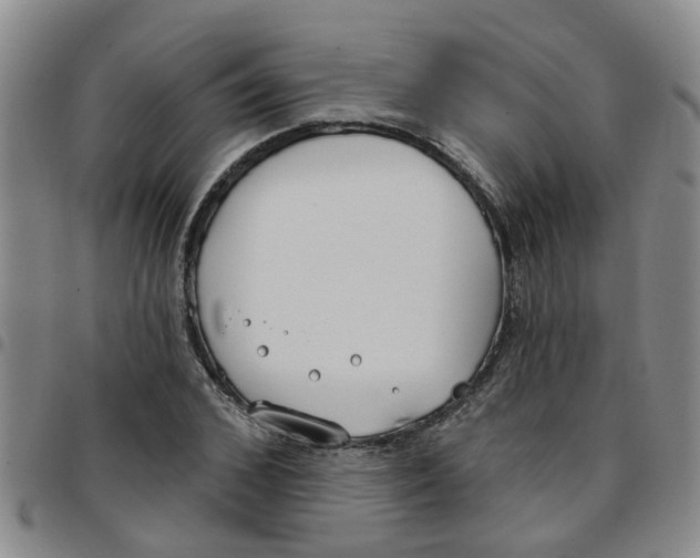 X0000097470976200803141909