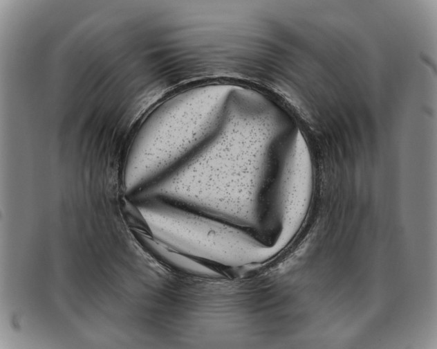X0000097470977200803141909