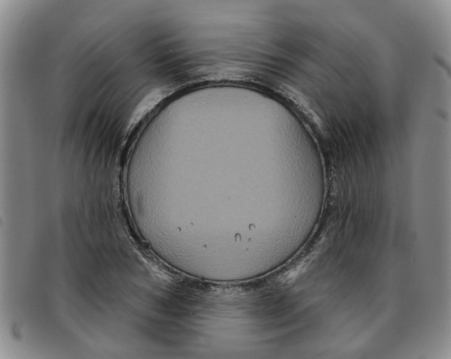 X0000097470978200803141909