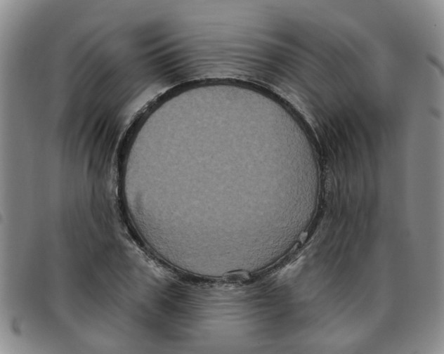 X0000097470979200803141909
