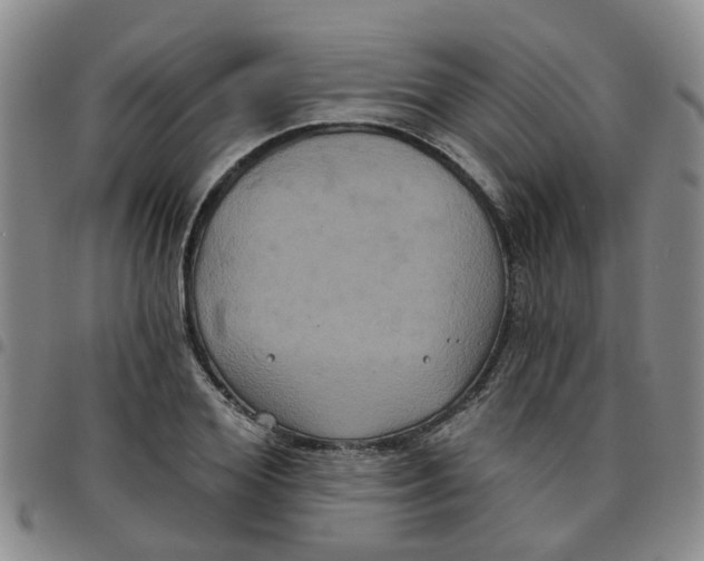 X0000097470980200803141909