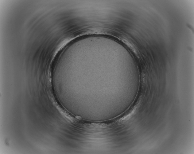 X0000097470981200803141909