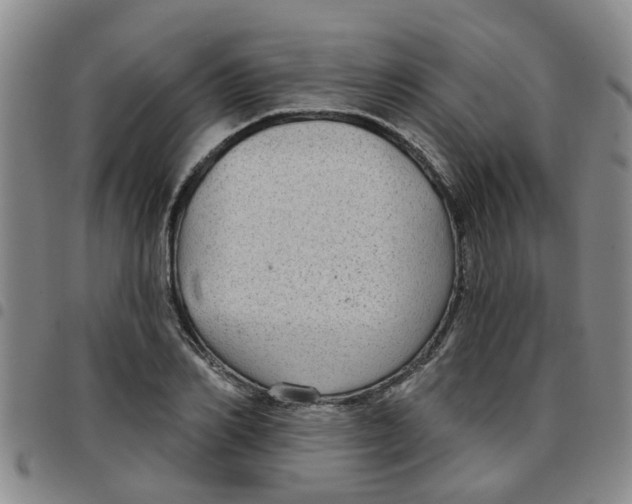 X0000097470982200803141909