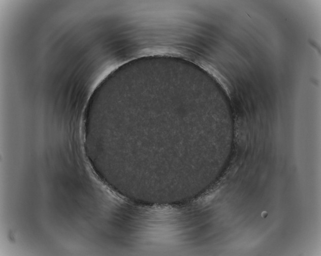 X0000097470983200803141909