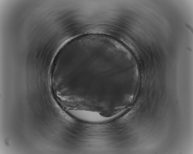 X0000097470984200803141909