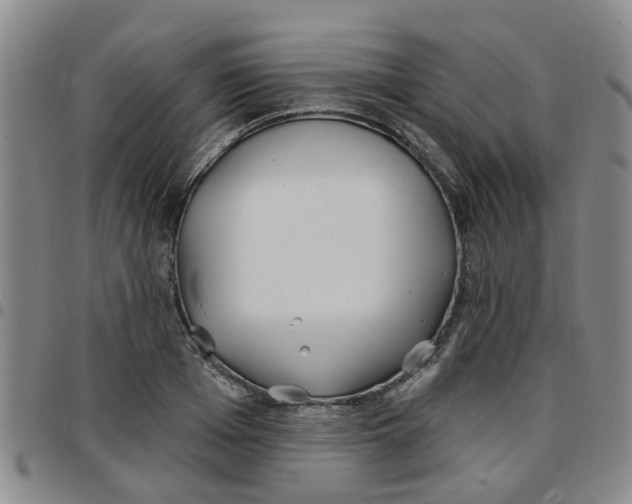 X0000097470985200803141909