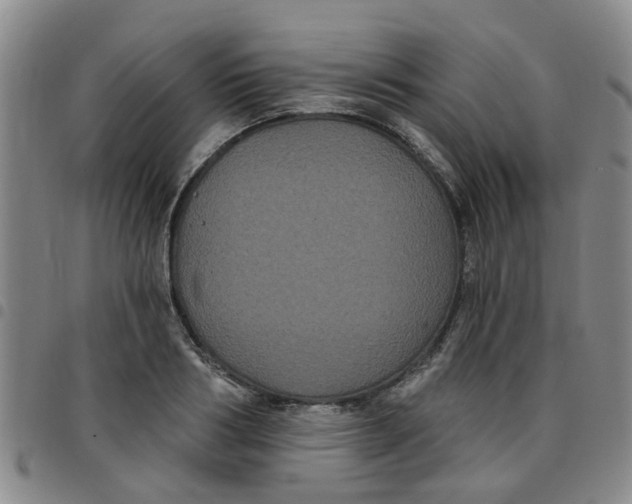 X0000097470986200803141909
