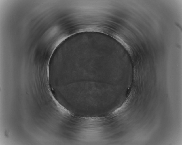 X0000097470988200803141909