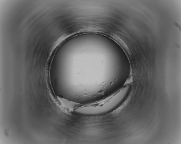 X0000097470989200803141909