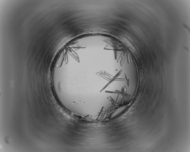 X0000097470990200803141909