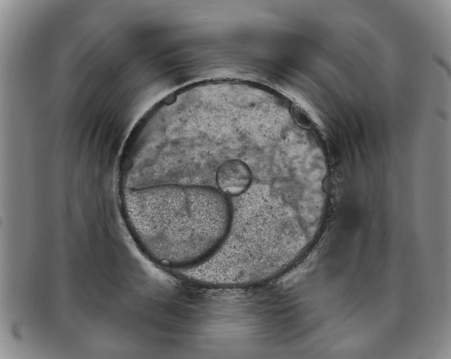 X0000097470991200803141909