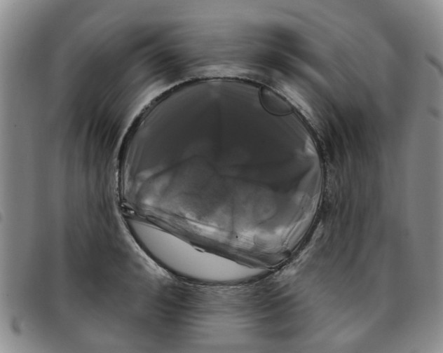 X0000097470992200803141909