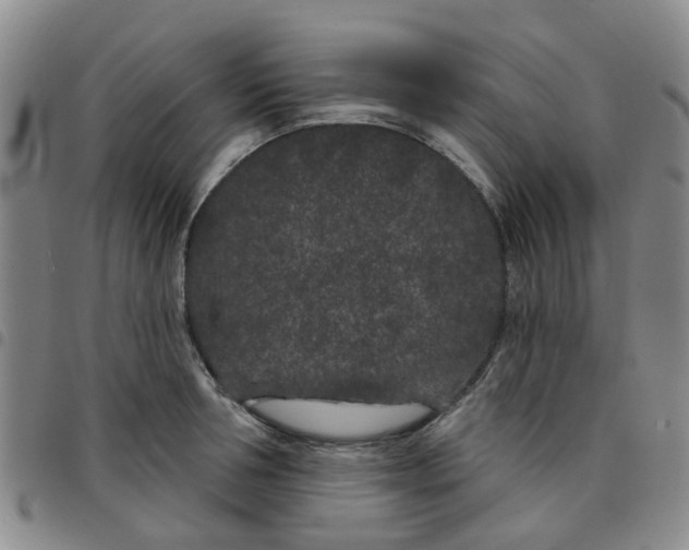 X0000097470994200803141909