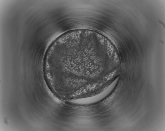 X0000097470995200803141909