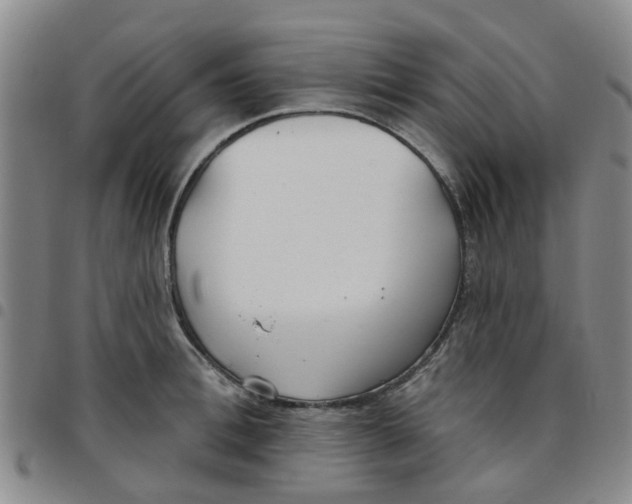 X0000097470996200803141909