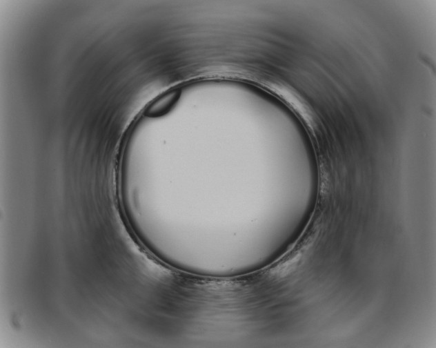 X0000097470999200803141909