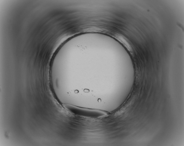 X0000097471000200803141909