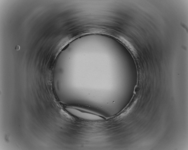 X0000097471001200803141909