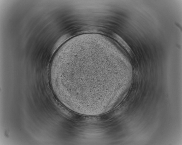 X0000097471002200803141909