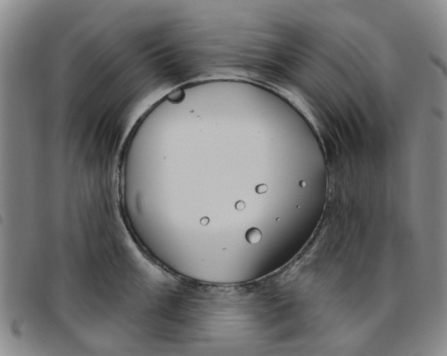 X0000097471003200803141909