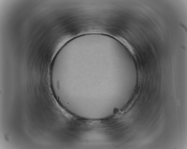 X0000097471006200803141909