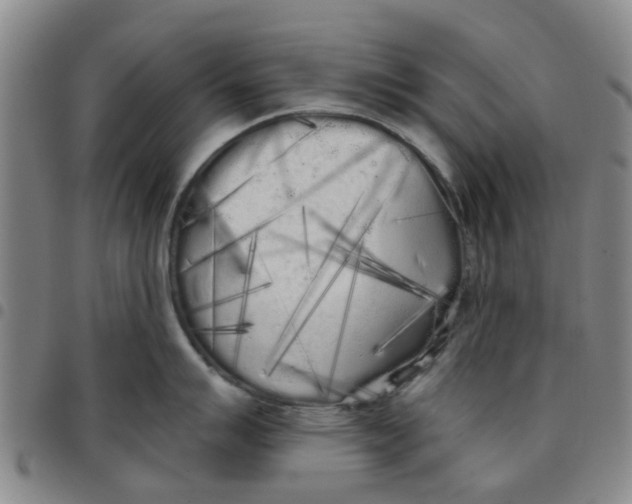 X0000097471007200803141909