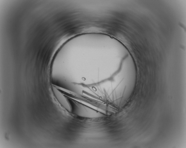 X0000097471008200803141909